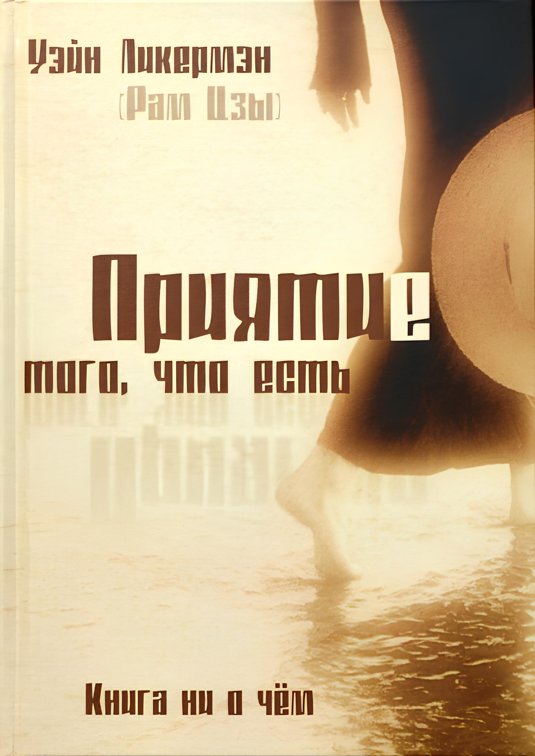 Приятие того, что есть. Книга ни о чем. 
