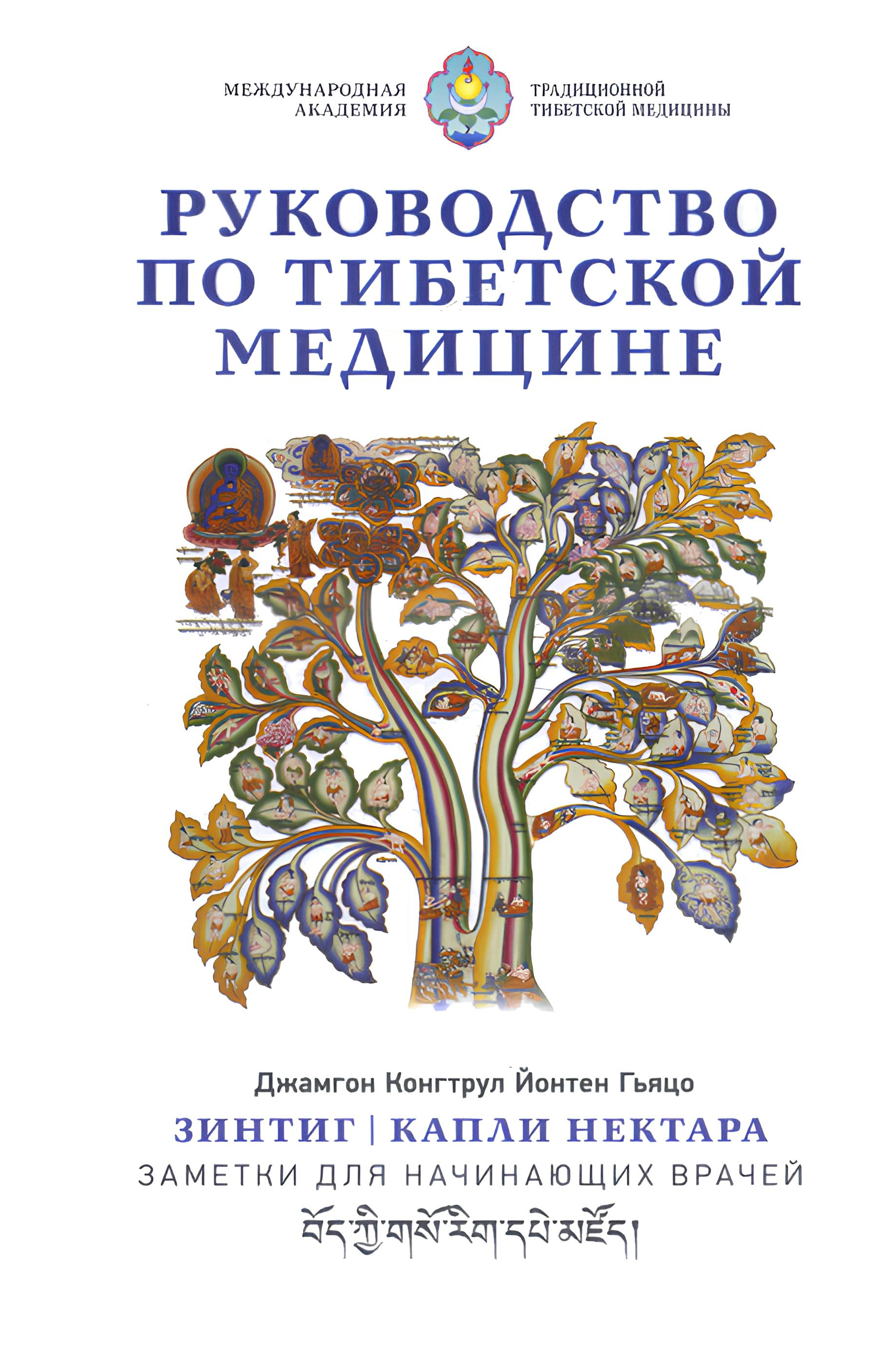 Руководство по тибетской медицине. Зинтиг. Капли нектара. Заметки для начинающих врачей.