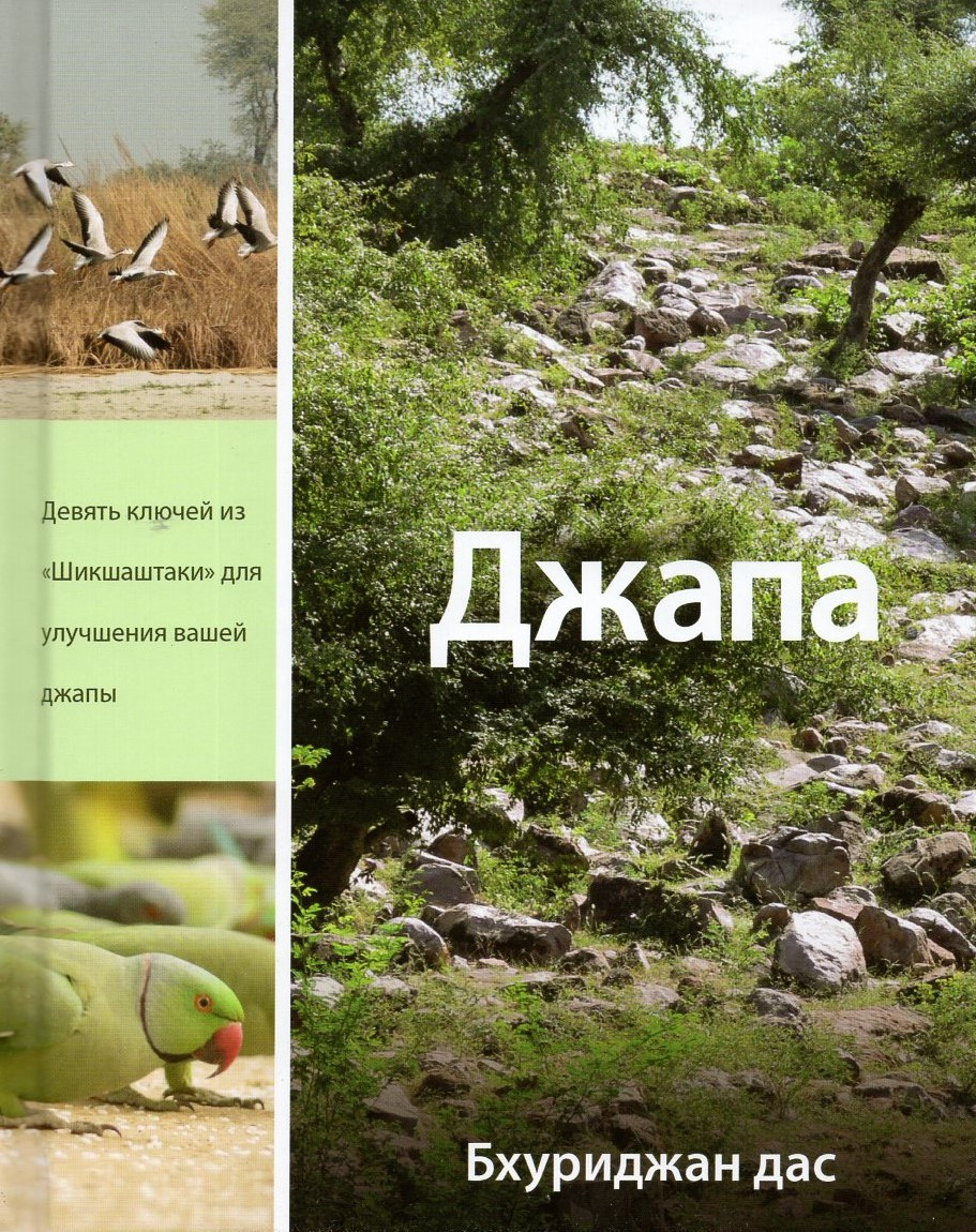 Джапа. Девять ключей из «Шикшаштаки» для улучшения вашей джапы. 